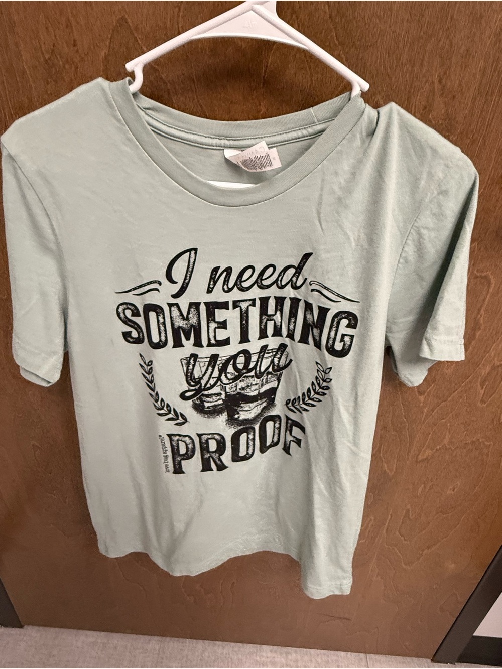 Bella Canvas Light Mint Green Graphic Tee with Black Print